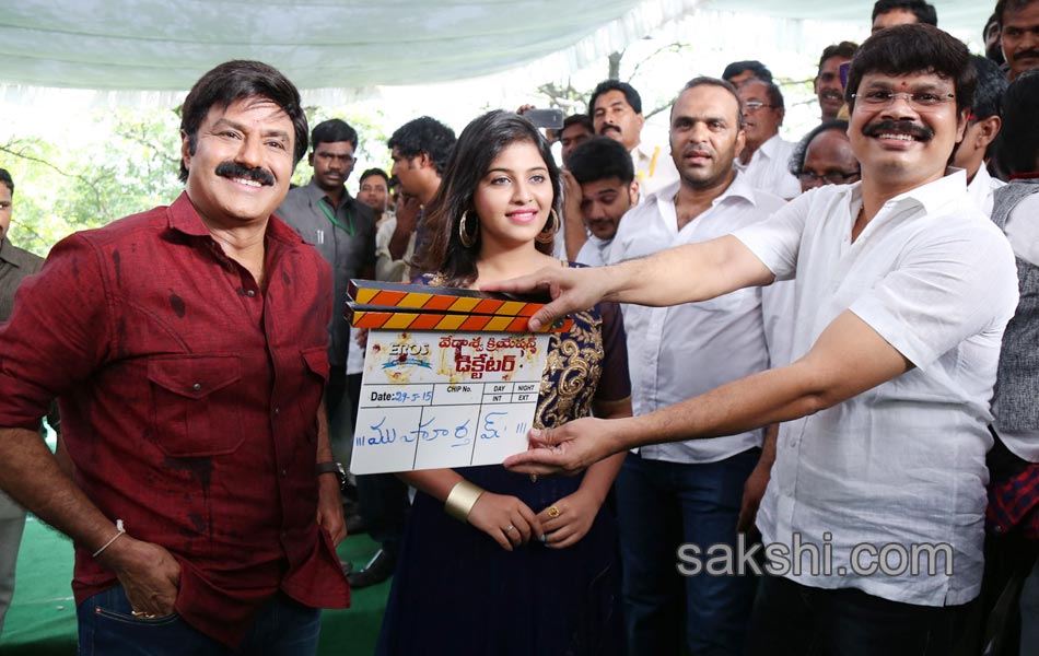 balakrishna 99 movie opening - Sakshi1