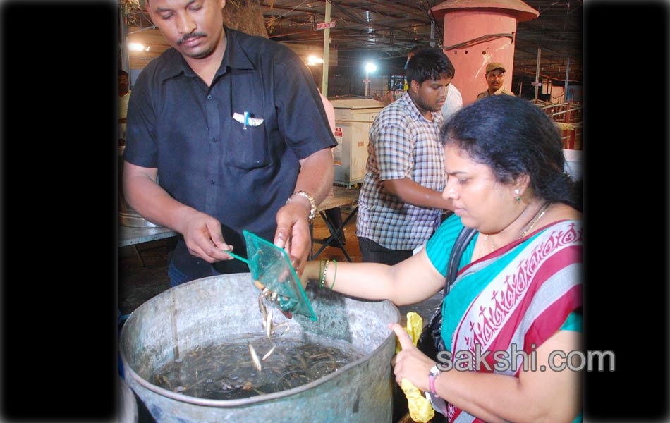 fish prasadam for asthma patients8