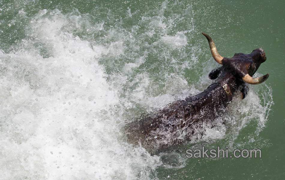 SPAIN FESTIVAL TOURISM SAN FERMIN - Sakshi3