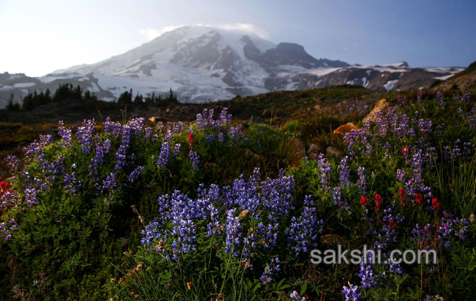 Climbing Mount Rainier3