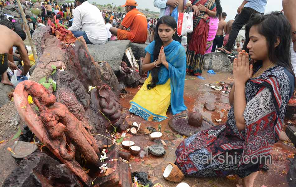 telangana godavari pushkaralu - Sakshi12