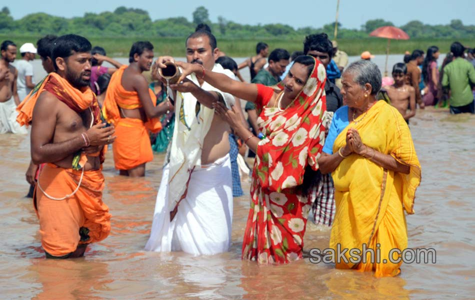telangana godavari pushkaralu - Sakshi6