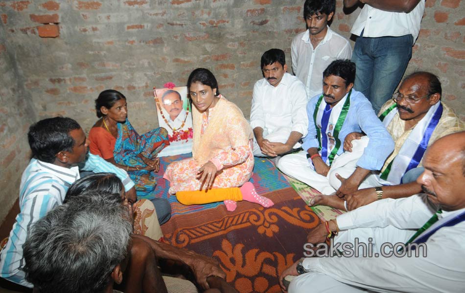 ys sharmila 3rd day paramarsha yatra in warangal distirict8