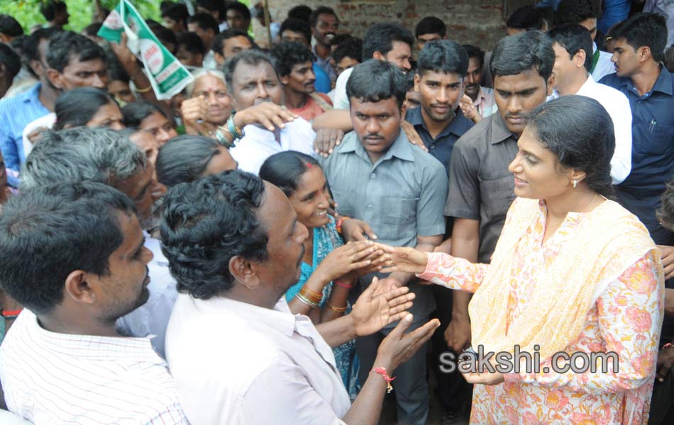 ys sharmila 3rd day paramarsha yatra in warangal distirict15