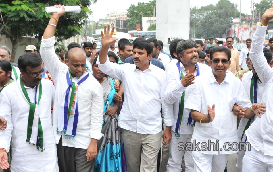 YSR congress dharna - Sakshi2