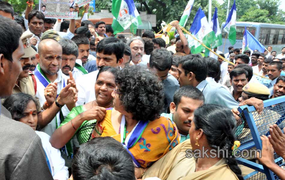 YSR congress dharna - Sakshi4