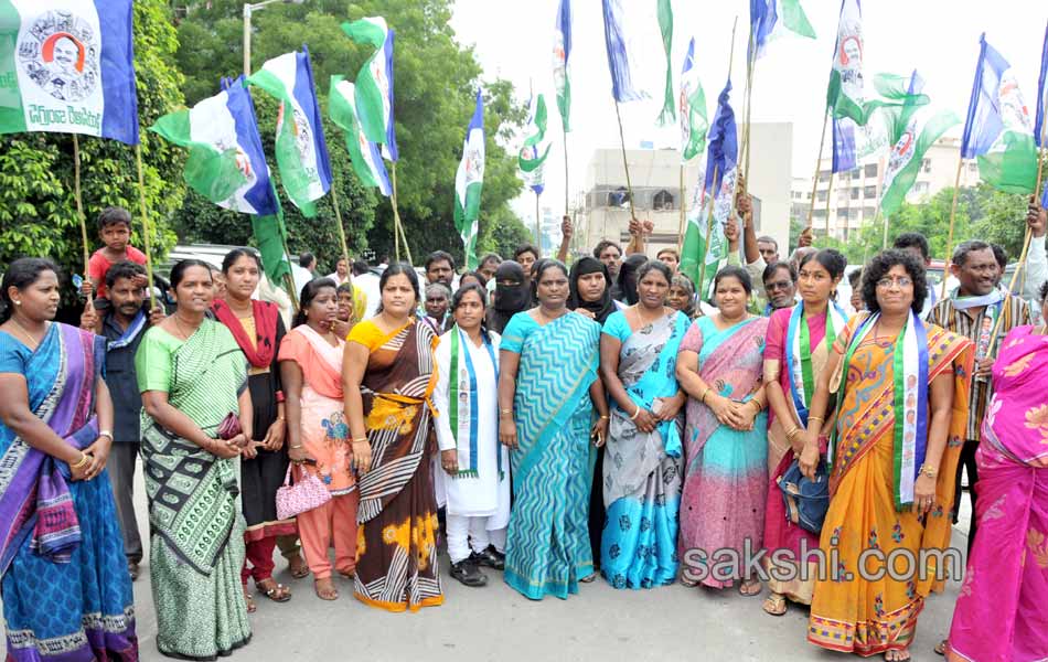 YSR congress dharna - Sakshi6