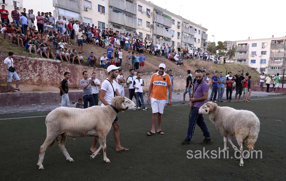 Eid al Adha festival - Sakshi8