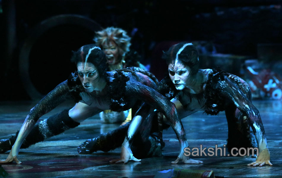 Paris musical Cats7