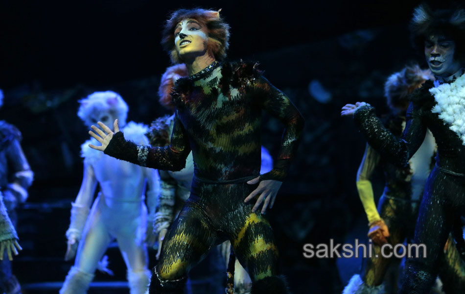 Paris musical Cats14