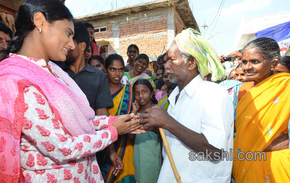 YS sharmila paramarsha yatra in nizamabad district14