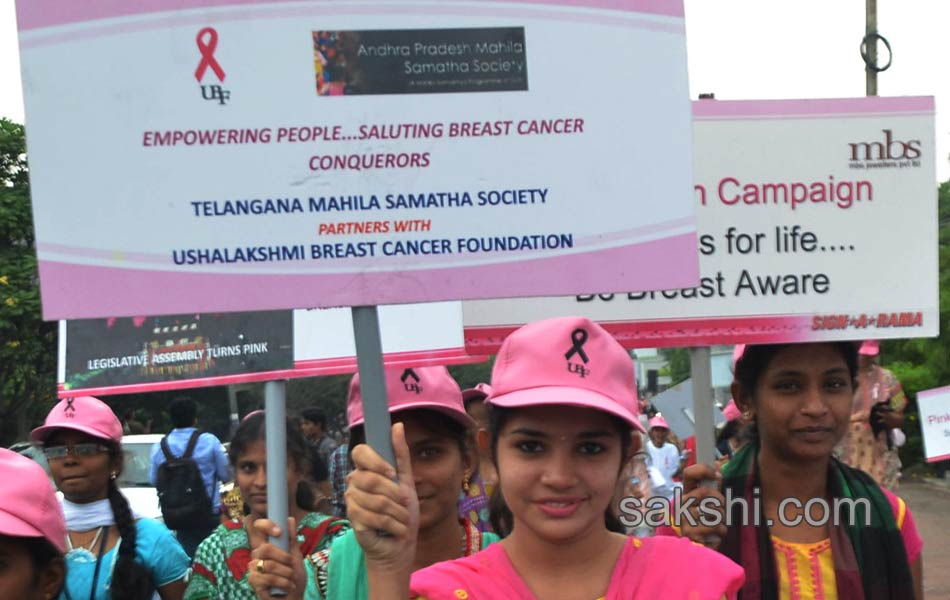 Pink Ribbon Walk2