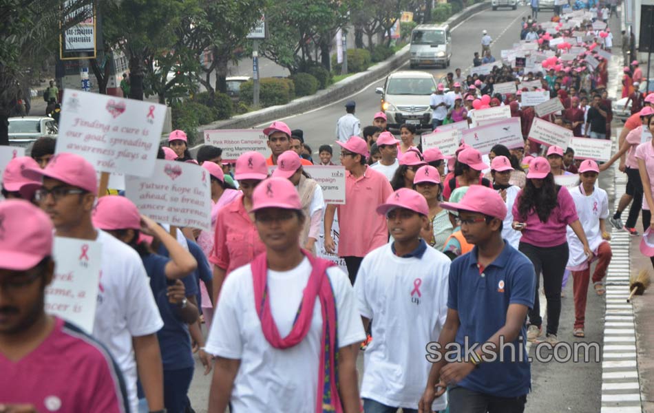 Pink Ribbon Walk6