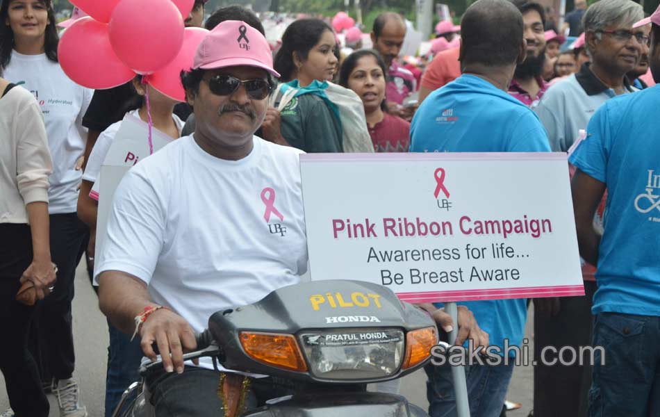 Pink Ribbon Walk8