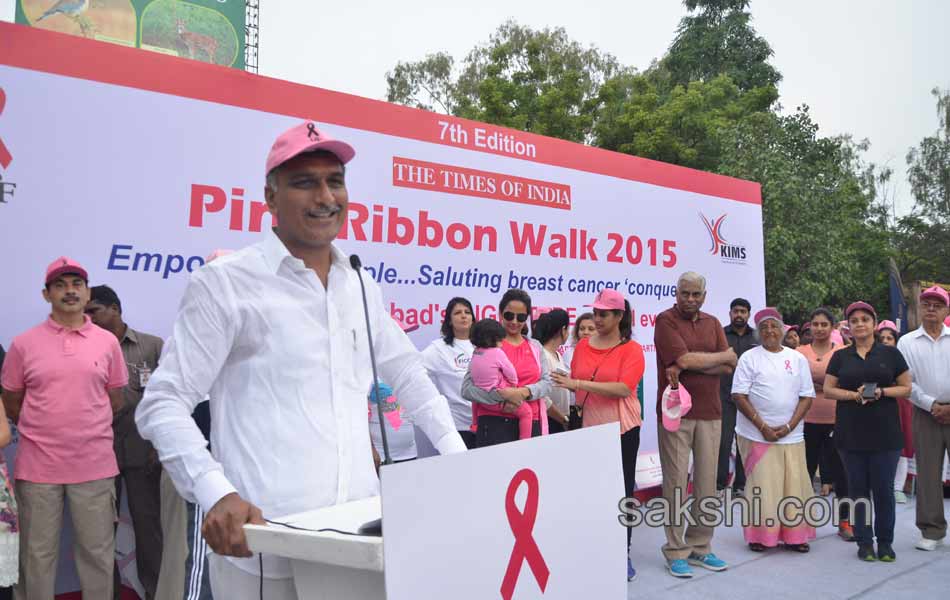 Pink Ribbon Walk16