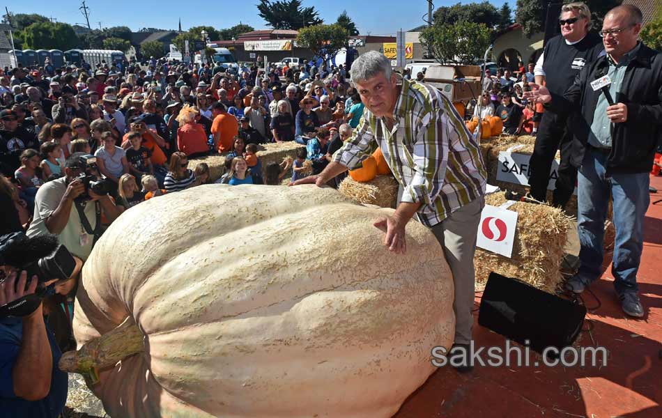 pumpkin weighing1