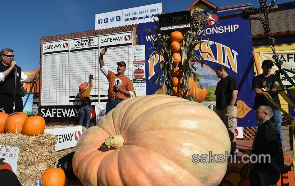 pumpkin weighing2