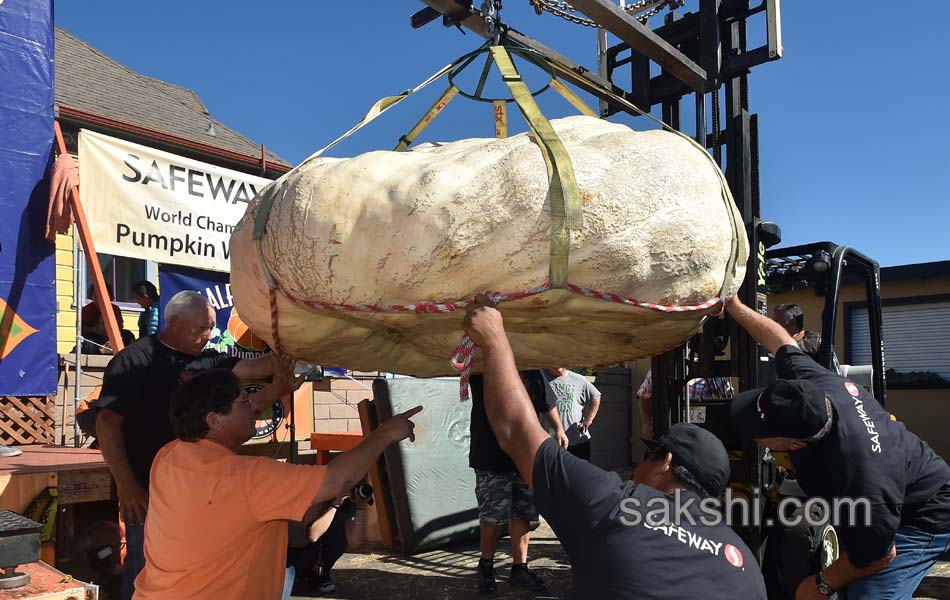 pumpkin weighing8