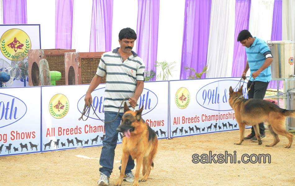 High  Breed - Sakshi1