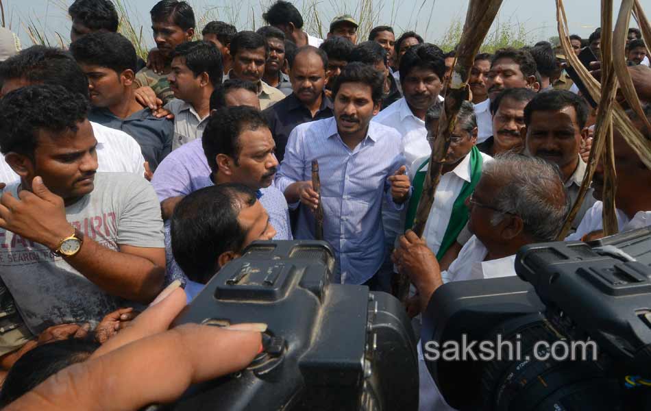 ys jagan mohan reddy speech in uddanda rayuni palem - Sakshi7