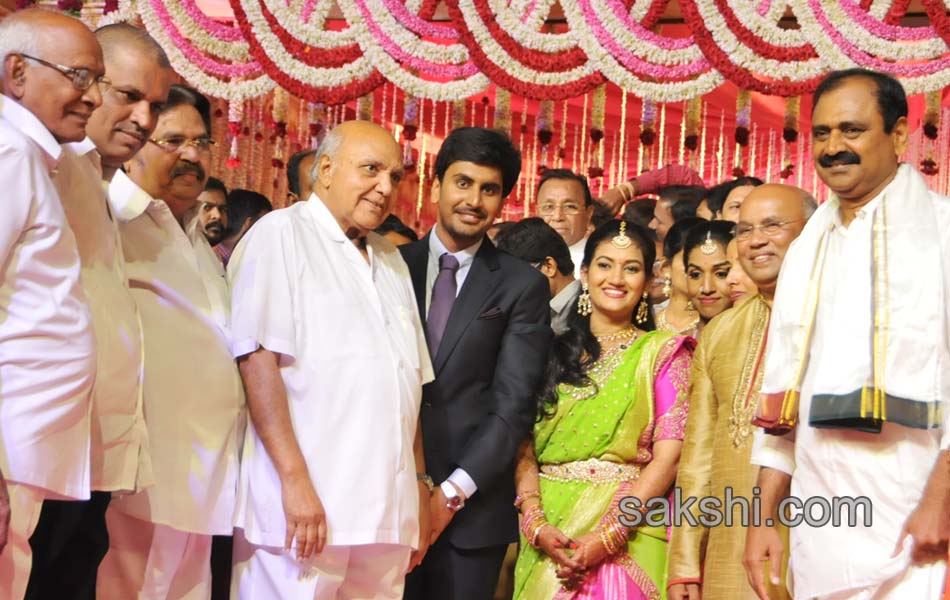 Bhumana Karunakar Reddy Son Abhinay Reddy Wedding Reception4