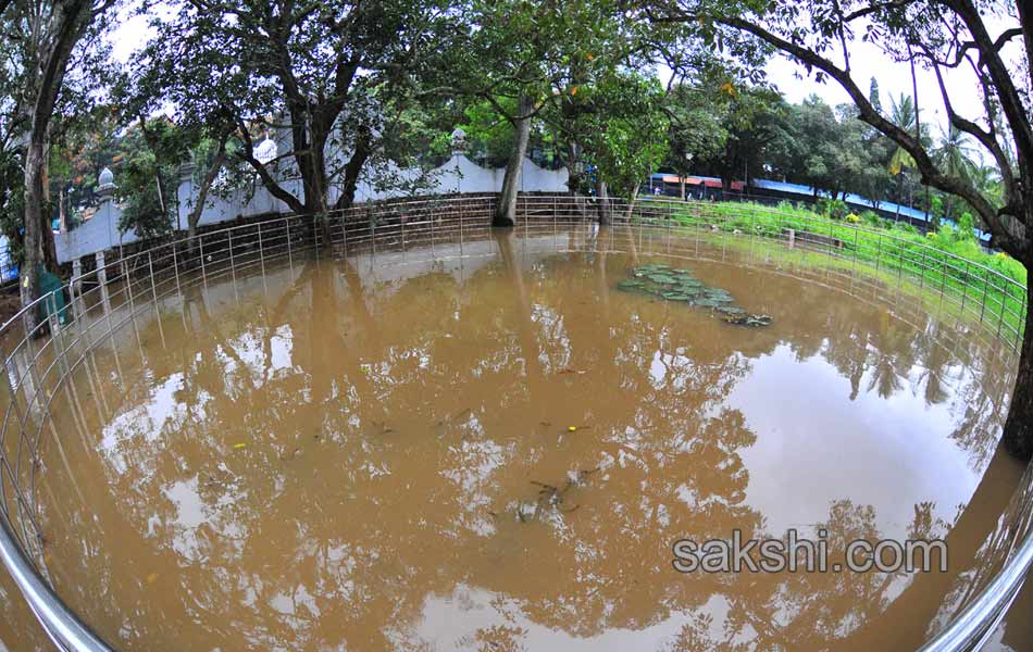 tirumala havy rain12