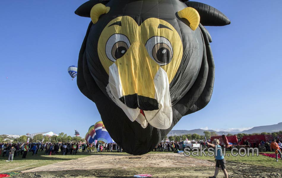 ballon festival14