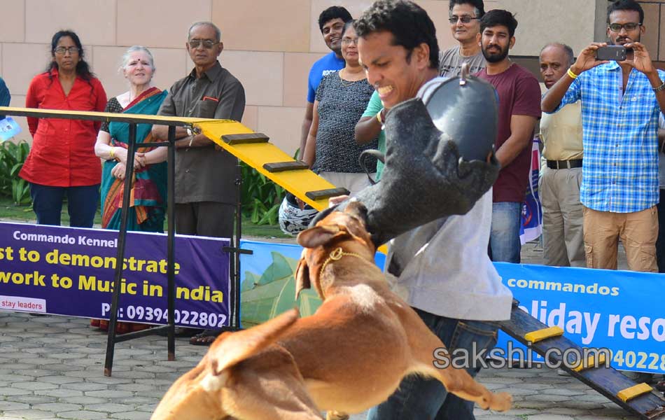 Cute Dog Show - Sakshi1