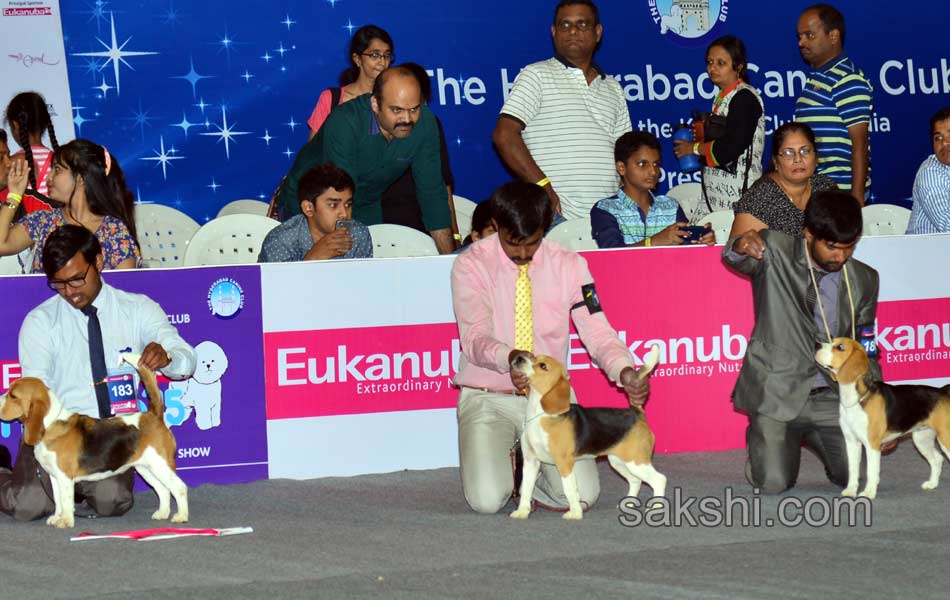 Cute Dog Show - Sakshi6