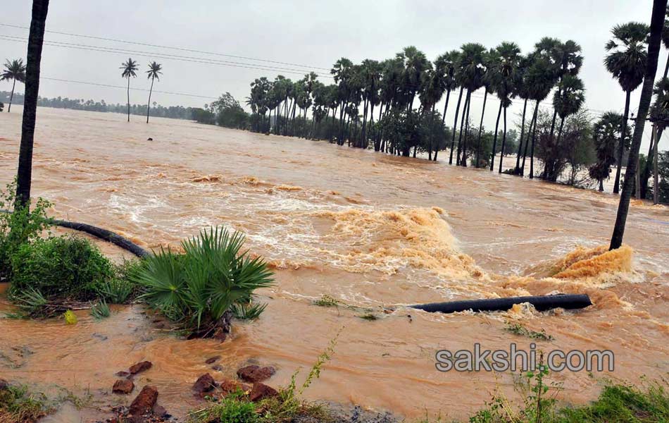 havy rain in ap19