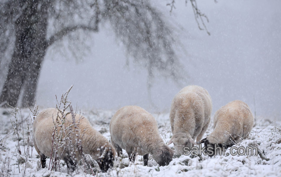 SNOW FALL GERMANY1