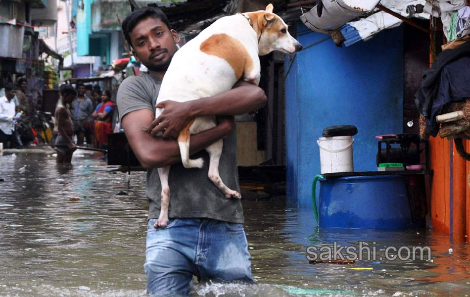 chennai submerged in rain water22