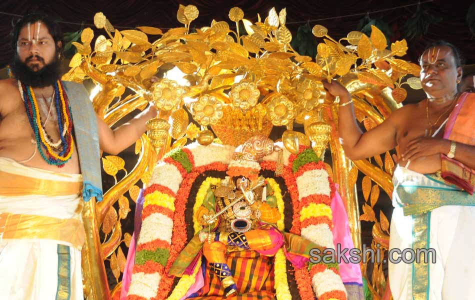 tirumala tirupati brahmotsavam - Sakshi1