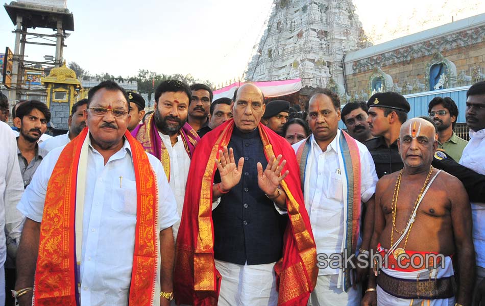 tirumala tirupati brahmotsavam - Sakshi8