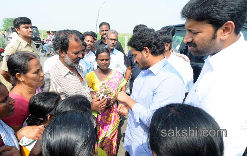 YS Jagan tour in YSR district - Sakshi15