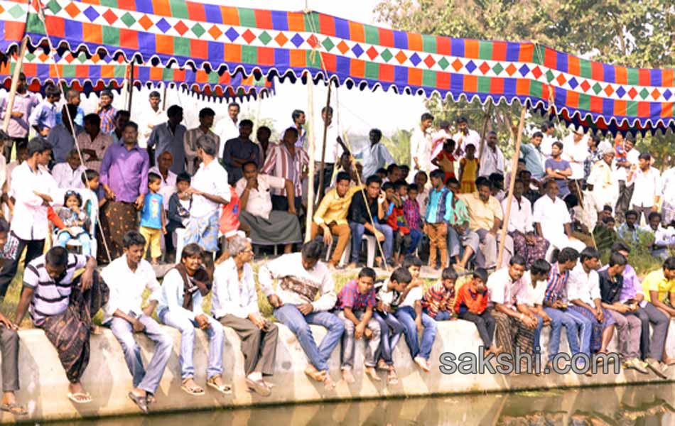 Bulls being competition at Kovur10