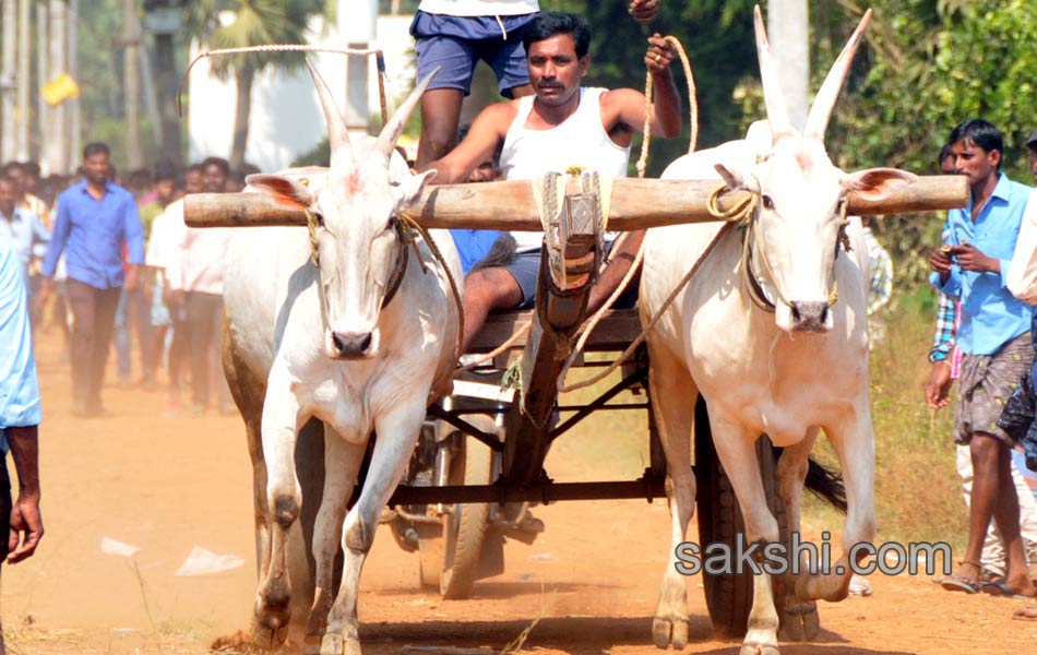 Bulls being competition at Kovur11