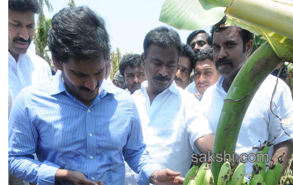 ys jaganmohan reddy tour in  pulivendula - Sakshi10