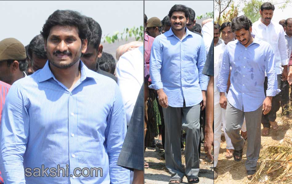 ys jaganmohan reddy tour in  pulivendula - Sakshi13