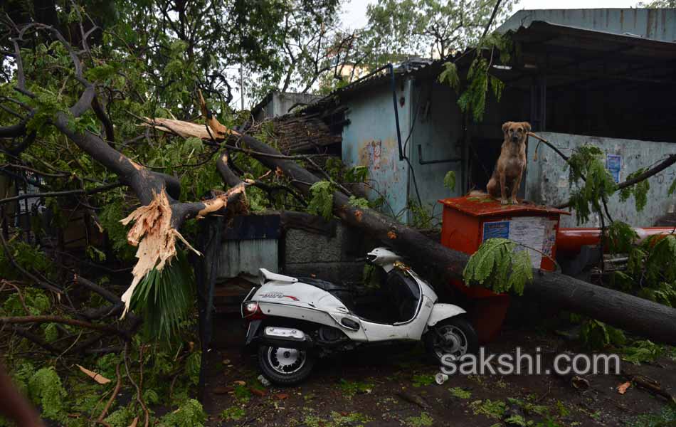 Heavy rains disrupt Hyderabad - Sakshi34