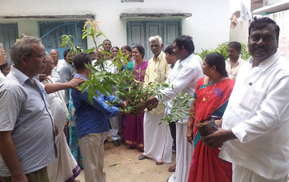 Plantation in guntur dist2