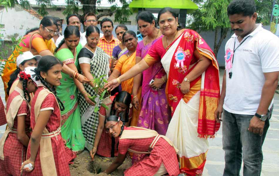 Plantation in guntur dist4