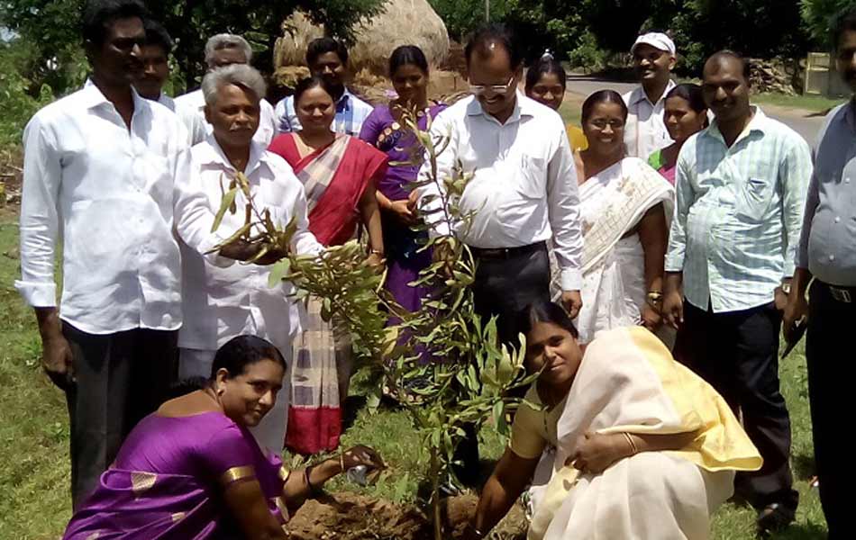 Plantation in guntur dist5