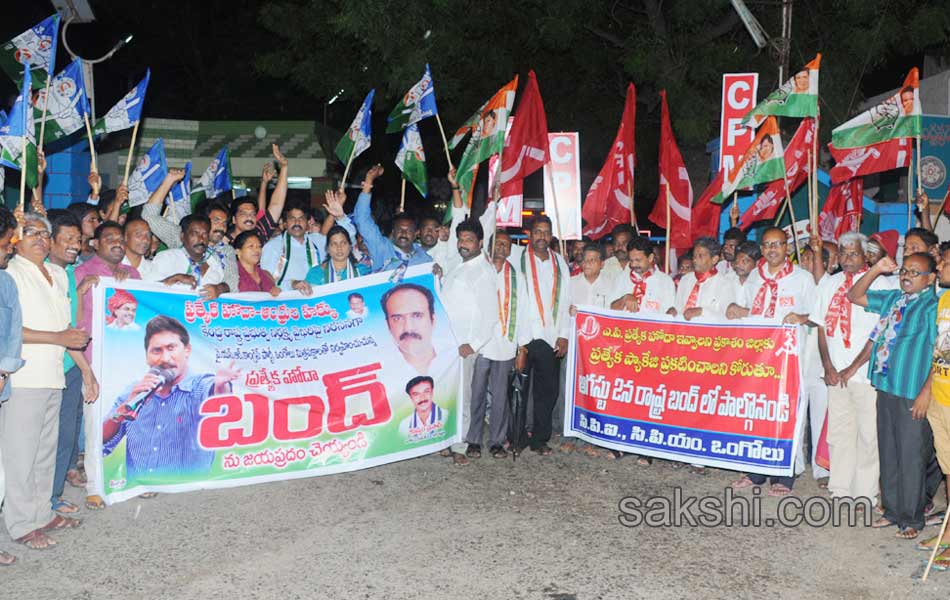 Ap Bundh for special status - Sakshi21