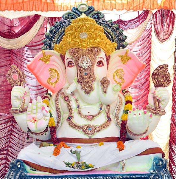 Ganesh Chaturdhi in Nellore - Sakshi15