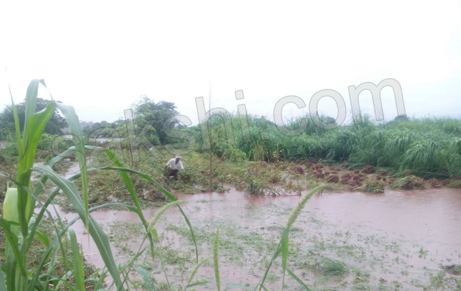 Huge rains in Guntur district - Sakshi11