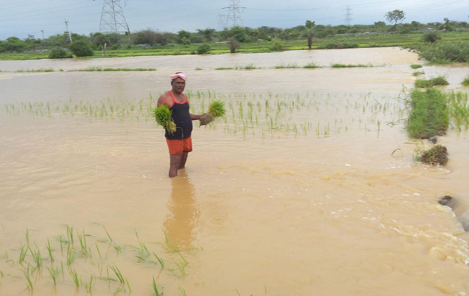 Rain fall remains tears - Sakshi11