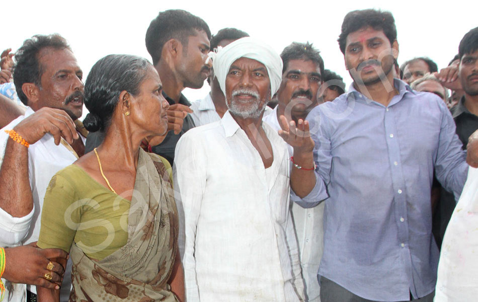 YS Jagan Tour in Guntur District Floods Area - Sakshi8