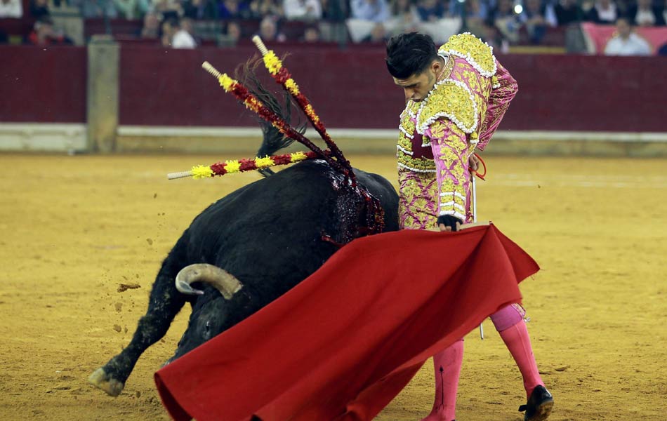 Bull fight festival in spain - Sakshi3