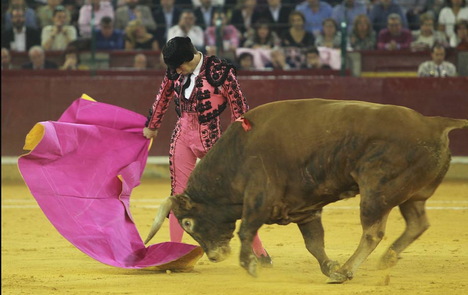 Bull fight festival in spain - Sakshi12